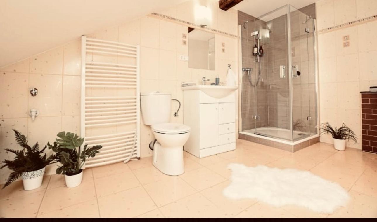 Apartman Penelope Žatec Exterior foto